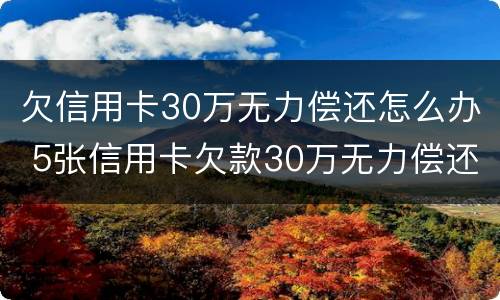 欠信用卡30万无力偿还怎么办 5张信用卡欠款30万无力偿还
