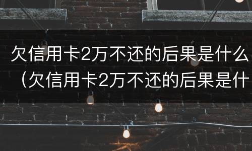 欠信用卡2万不还的后果是什么（欠信用卡2万不还的后果是什么呢）