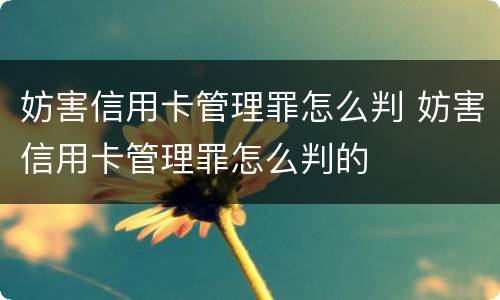 妨害信用卡管理罪怎么判 妨害信用卡管理罪怎么判的