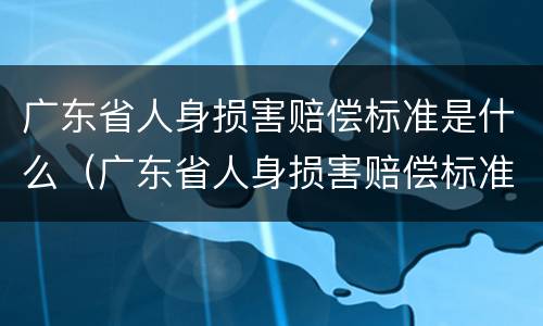 广东省人身损害赔偿标准是什么（广东省人身损害赔偿标准是什么时候实施）