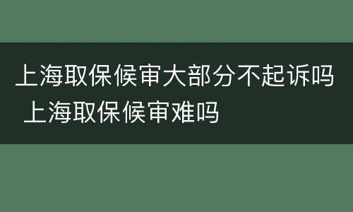 上海取保候审大部分不起诉吗 上海取保候审难吗