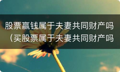 股票赢钱属于夫妻共同财产吗（买股票属于夫妻共同财产吗）