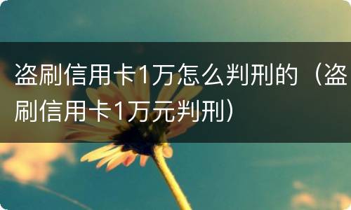盗刷信用卡1万怎么判刑的（盗刷信用卡1万元判刑）