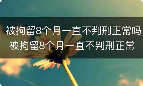 被拘留8个月一直不判刑正常吗 被拘留8个月一直不判刑正常吗怎么办