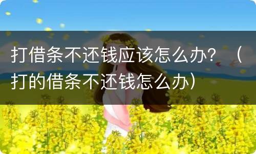 打借条不还钱应该怎么办？（打的借条不还钱怎么办）