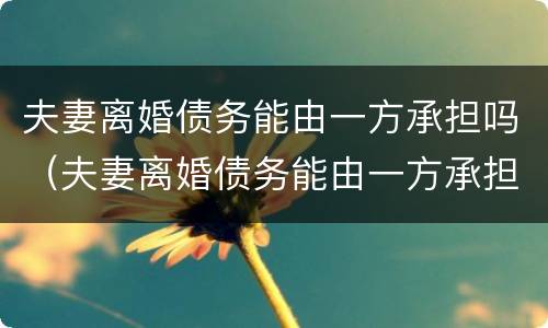 夫妻离婚债务能由一方承担吗（夫妻离婚债务能由一方承担吗怎么算）