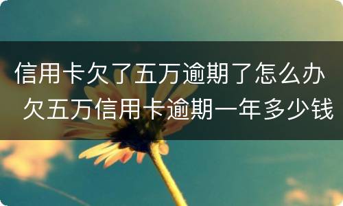 信用卡欠了五万逾期了怎么办 欠五万信用卡逾期一年多少钱
