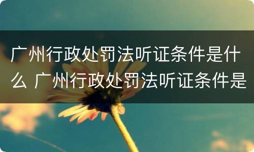 广州行政处罚法听证条件是什么 广州行政处罚法听证条件是什么呢