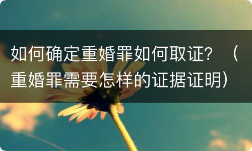 如何确定重婚罪如何取证？（重婚罪需要怎样的证据证明）