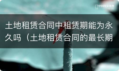 土地租赁合同中租赁期能为永久吗（土地租赁合同的最长期限）