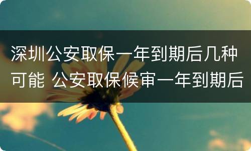 深圳公安取保一年到期后几种可能 公安取保候审一年到期后多久结案