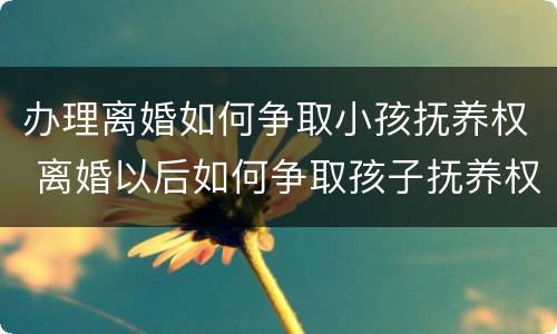 办理离婚如何争取小孩抚养权 离婚以后如何争取孩子抚养权