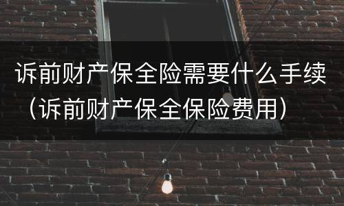 诉前财产保全险需要什么手续（诉前财产保全保险费用）
