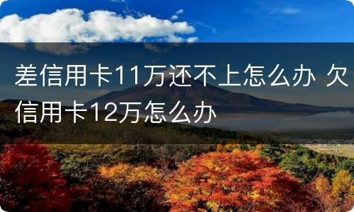 差信用卡11万还不上怎么办 欠信用卡12万怎么办