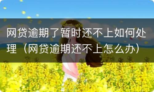 网贷逾期了暂时还不上如何处理（网贷逾期还不上怎么办）