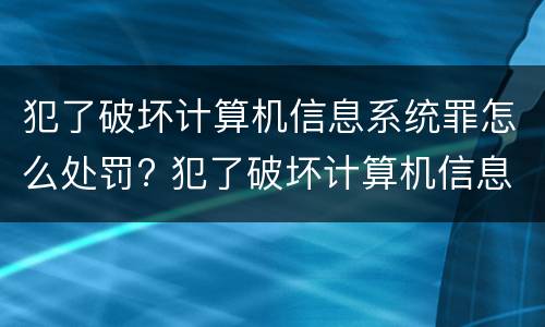 犯了破坏计算机信息系统罪怎么处罚? 犯了破坏计算机信息系统罪怎么处罚的
