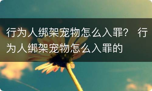 行为人绑架宠物怎么入罪？ 行为人绑架宠物怎么入罪的