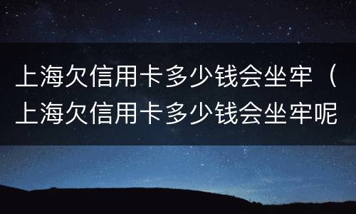 上海欠信用卡多少钱会坐牢（上海欠信用卡多少钱会坐牢呢）