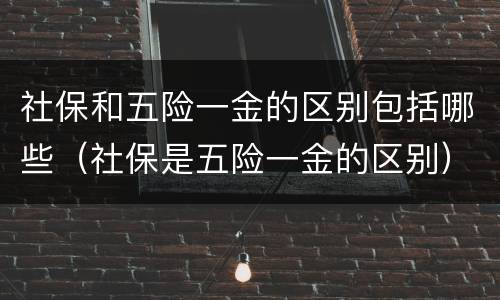 社保和五险一金的区别包括哪些（社保是五险一金的区别）