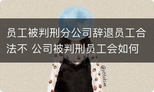 员工被判刑分公司辞退员工合法不 公司被判刑员工会如何