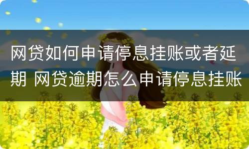 网贷如何申请停息挂账或者延期 网贷逾期怎么申请停息挂账