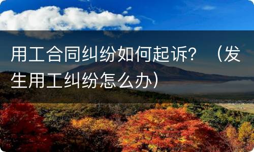 用工合同纠纷如何起诉？（发生用工纠纷怎么办）