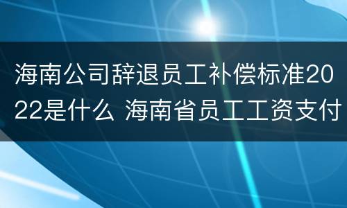 海南公司辞退员工补偿标准2022是什么 海南省员工工资支付条例