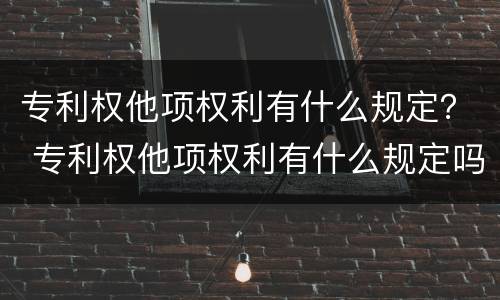 专利权他项权利有什么规定？ 专利权他项权利有什么规定吗