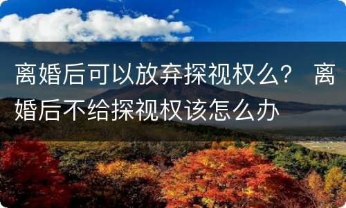 离婚后可以放弃探视权么？ 离婚后不给探视权该怎么办
