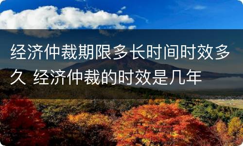 经济仲裁期限多长时间时效多久 经济仲裁的时效是几年