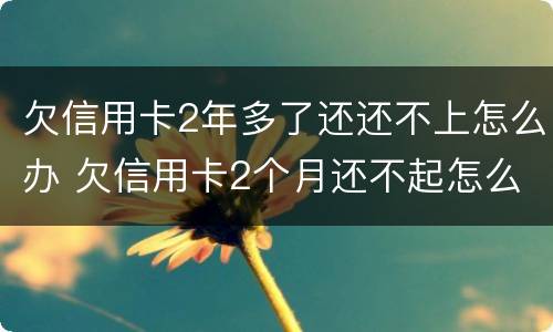 欠信用卡2年多了还还不上怎么办 欠信用卡2个月还不起怎么办