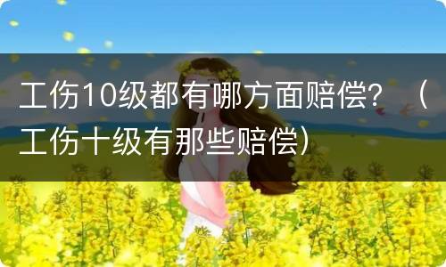 工伤10级都有哪方面赔偿？（工伤十级有那些赔偿）