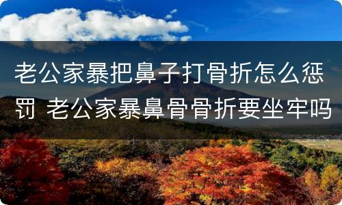 老公家暴把鼻子打骨折怎么惩罚 老公家暴鼻骨骨折要坐牢吗