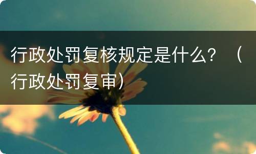 行政处罚复核规定是什么？（行政处罚复审）