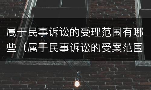 属于民事诉讼的受理范围有哪些（属于民事诉讼的受案范围的有）