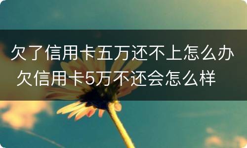 欠了信用卡五万还不上怎么办 欠信用卡5万不还会怎么样