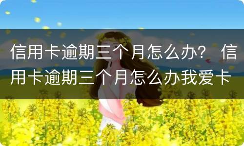 信用卡逾期三个月怎么办？ 信用卡逾期三个月怎么办我爱卡