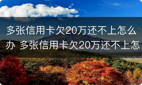 多张信用卡欠20万还不上怎么办 多张信用卡欠20万还不上怎么办名下无财产