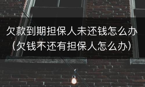 欠款到期担保人未还钱怎么办（欠钱不还有担保人怎么办）