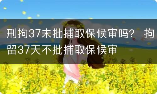 刑拘37未批捕取保候审吗？ 拘留37天不批捕取保候审