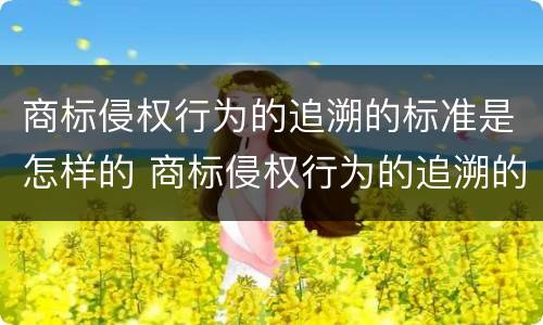 商标侵权行为的追溯的标准是怎样的 商标侵权行为的追溯的标准是怎样的呢