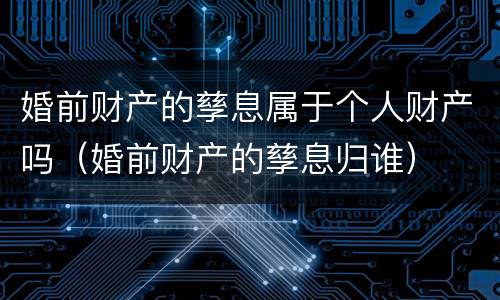 婚前财产的孳息属于个人财产吗（婚前财产的孳息归谁）
