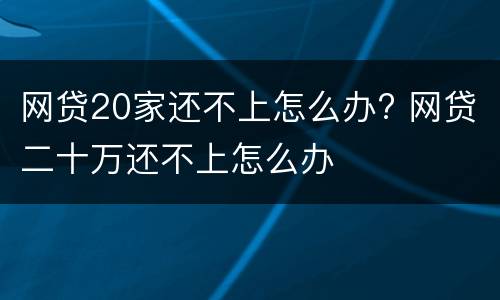 网贷20家还不上怎么办? 网贷二十万还不上怎么办