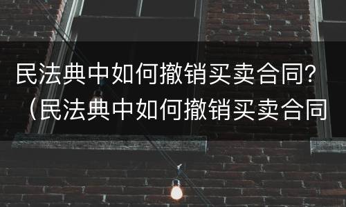 民法典中如何撤销买卖合同？（民法典中如何撤销买卖合同案件）