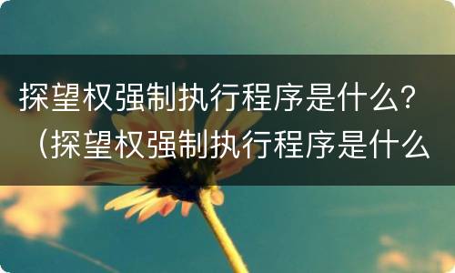 探望权强制执行程序是什么？（探望权强制执行程序是什么意思）