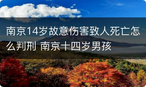 南京14岁故意伤害致人死亡怎么判刑 南京十四岁男孩