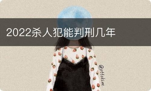 2022杀人犯能判刑几年