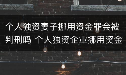 个人独资妻子挪用资金罪会被判刑吗 个人独资企业挪用资金 判例