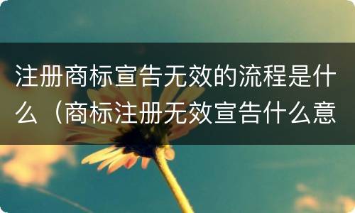 注册商标宣告无效的流程是什么（商标注册无效宣告什么意思）