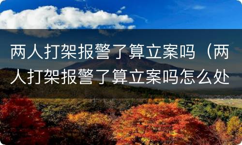 两人打架报警了算立案吗（两人打架报警了算立案吗怎么处理）